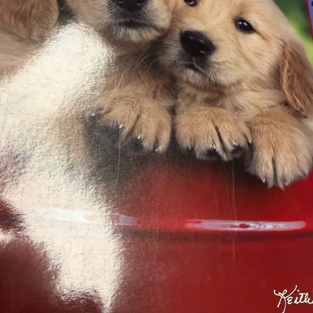 NEW Lot Of 6 Keith Kimberlin Folders Puppy Kitten Class Act 3 Hole